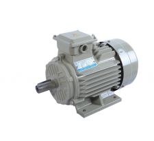 ĐỘNG CƠ ĐIỆN TOÀN PHÁT 3.5 Kw ( TUA CHẬM )