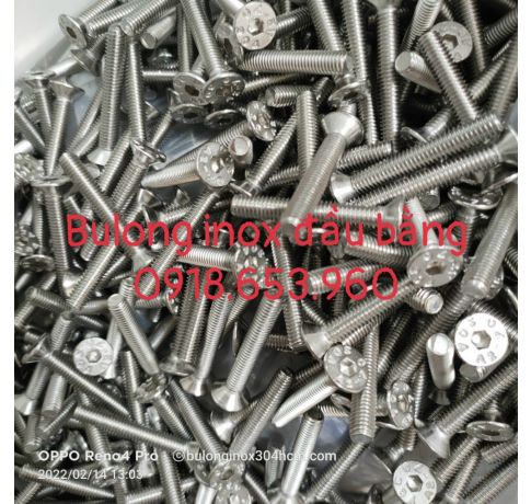 BULONG INOX ĐẦU BÀNG 201, 304,316