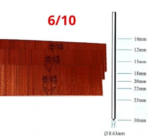 Đinh chi đồng Meite