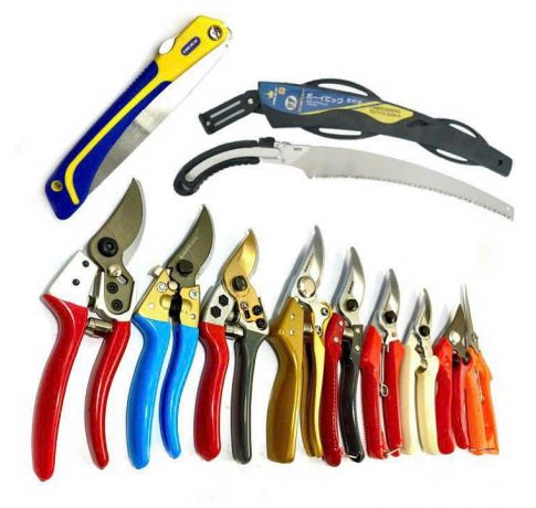 KÉO CÀNH KING BLUE