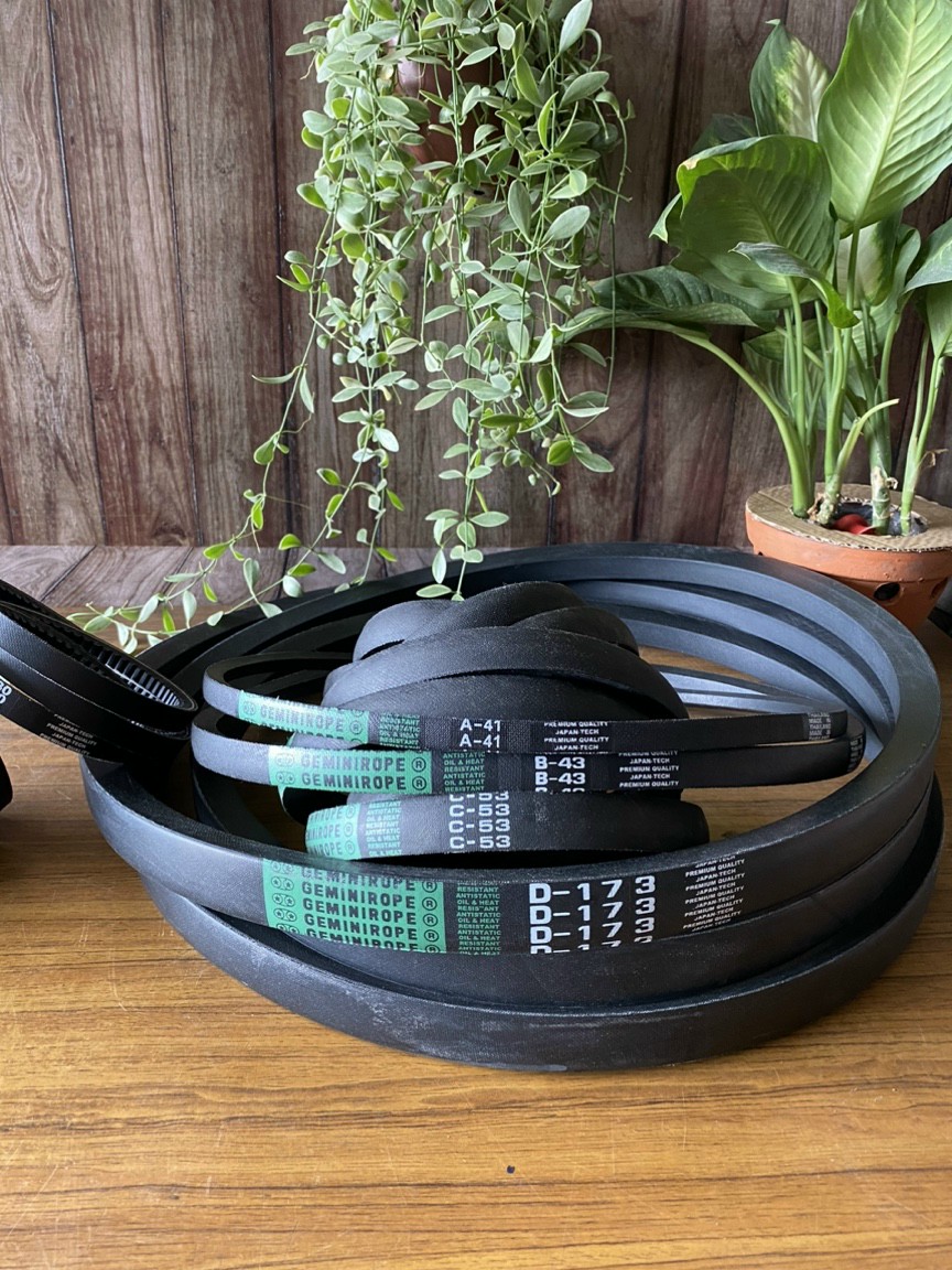 Dây Curoa GEMINIROPE