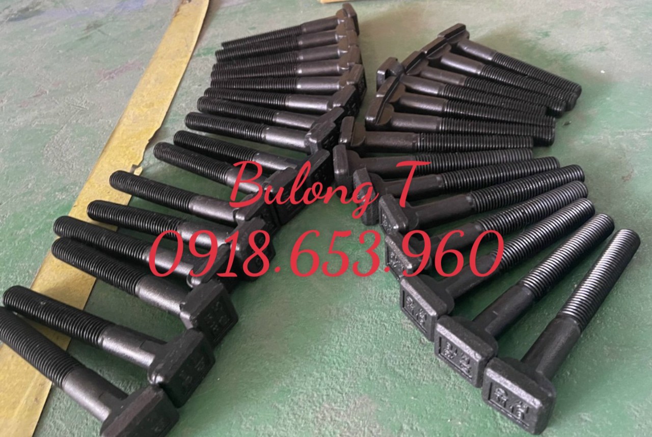 BULONG T