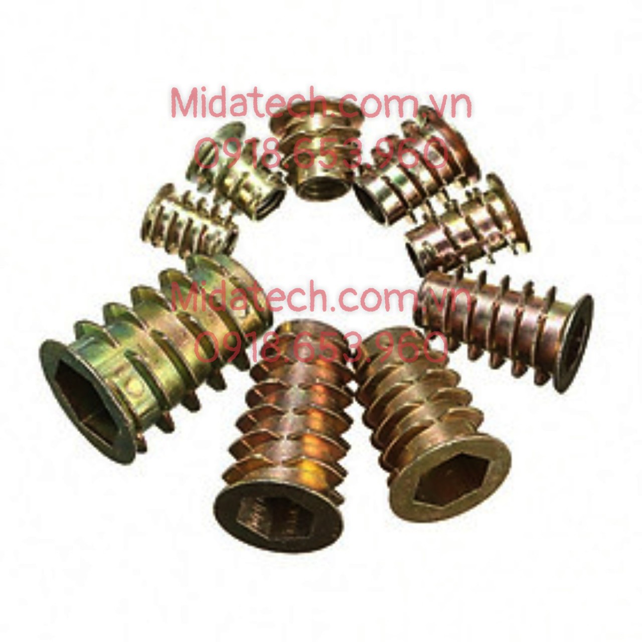 Ốc cấy có tai
