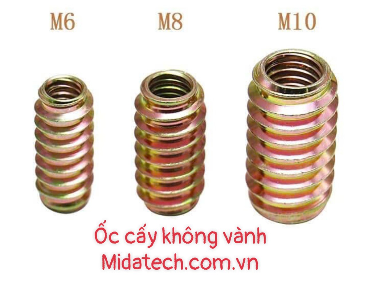 ỐC cáy không vành