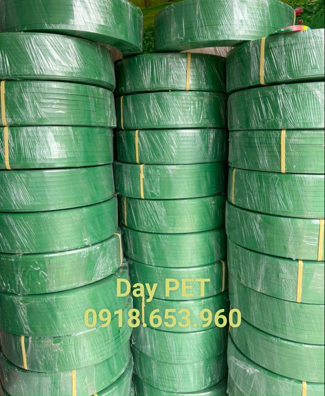 DÂY ĐAI PET 19MM